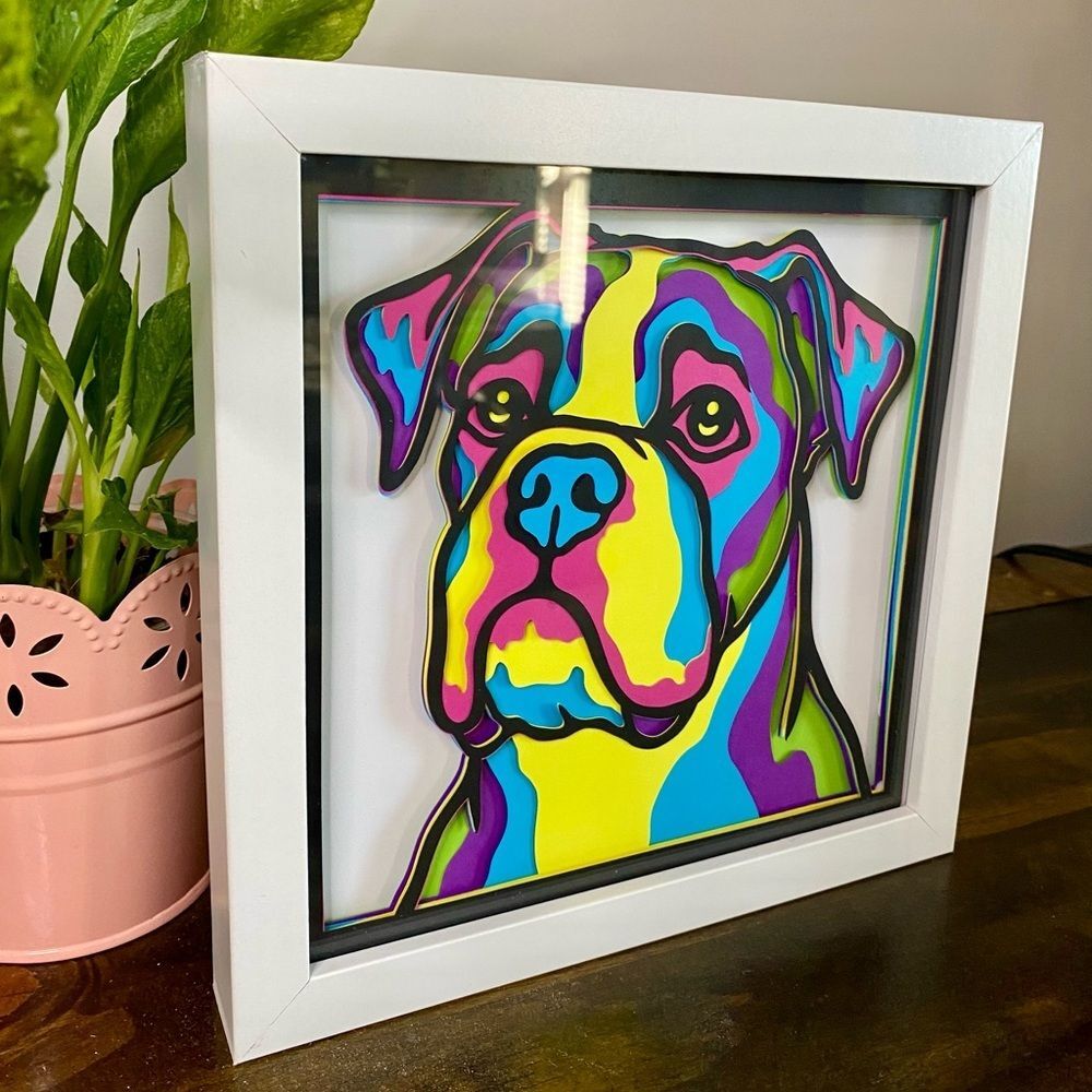 3D Boxer Multicolor Shadowbox - Picture 2 of 8